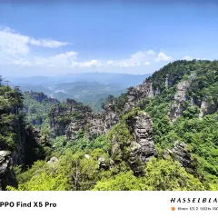 老王三下锅 User Photo