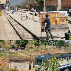 南湖香麒园 User Photo