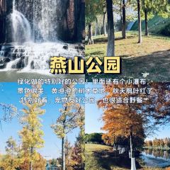 南山一品酒樓張用戶圖片