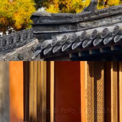 顺意凉粉(鼓楼东街总店) User Photo