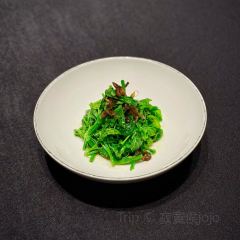 Cai XiangYuan (YangJiaPing) User Photo