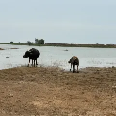 信記蝦餅張用戶圖片