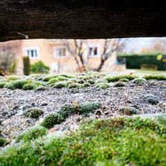 El Pajar Navacerrada 여행 사진