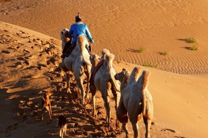 贝勒塔拉·手把肉·蒙餐(和平路店)