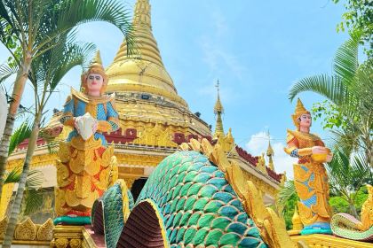 芒市天然活螃蟹