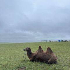 蒙古艾利奶茶馆 User Photo