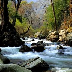 田峪人家 User Photo