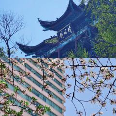 Qingchuanjiarijiudian·huwaijiangpanzizhucan User Photo