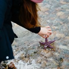 Octopus 여행 사진