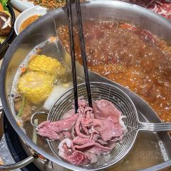 七木岭潮汕牛肉火锅(阳春店) User Photo
