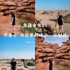 马守疆包头老馆子 ảnh của người dùng