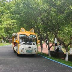 国际湖泊之家 User Photo