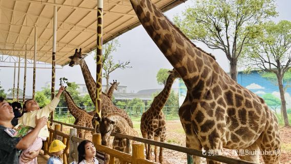 Pingnan Xiongsen Animal World