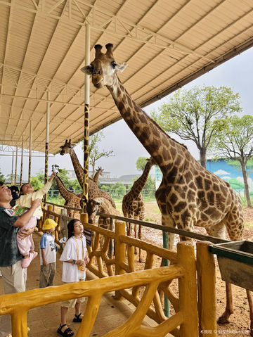 Pingnan Xiongsen Animal World