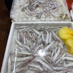 企沙渔港 User Photo