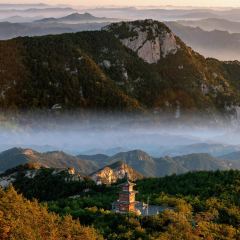 老城根土菜館張用戶圖片