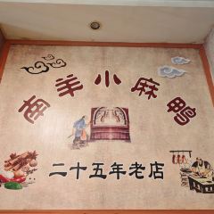 Nanyangdiyijiaxiaoma Duck User Photo