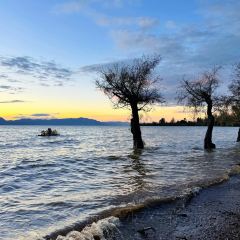 A MUSHROOM User Photo