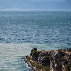 September DaLi User Photo