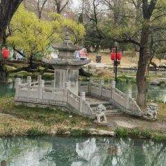 老街印象張用戶圖片