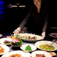 STAR OF PU User Photo