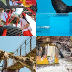 KING OF DUCKLIP User Photo