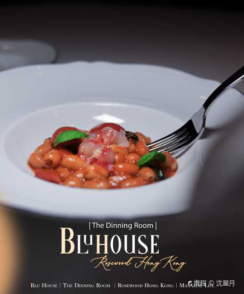 BluHouse