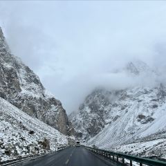 白沙湖冷水鱼餐厅 User Photo