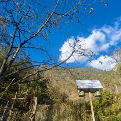 贡山秋那桶阿土家民宿 User Photo