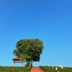 永盛酒樓張用戶圖片