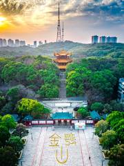 岳陽金鶚山公園