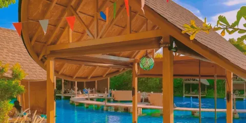 Bubble in the Forest Cafe