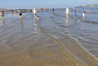 桃花島漁家(張家台店)用戶圖片