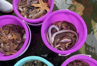 桃花島漁家(張家台店)用戶圖片