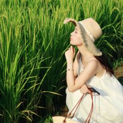 春沐源咖啡厅 User Photo