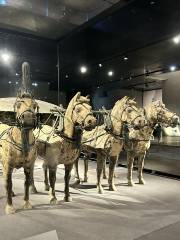 秦始皇帝陵博物院-銅車馬博物館