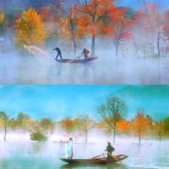 Sage Hall Homestay User Photo