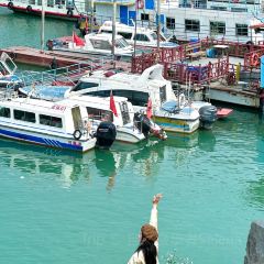 绿湖渔坊(万绿湖新港码头店) User Photo