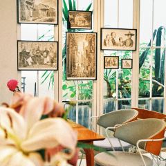 Qilinshuju User Photo