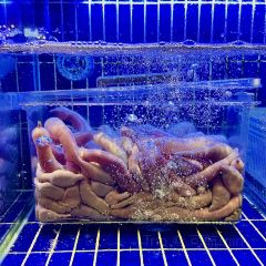 喜筵28·精细潮粤菜(五大道王府店) User Photo