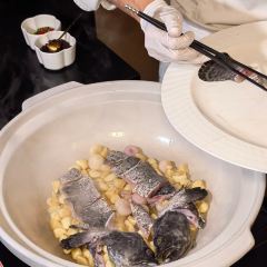 问山海 User Photo