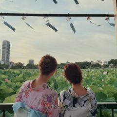 Torie Ueno Hirokoji User Photo