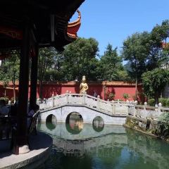 正一街米饺 User Photo