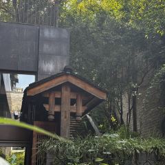 写诚咖啡·空中庭院 User Photo