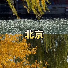 秀嫂撻粿張用戶圖片