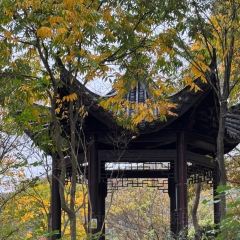 黃栗樹生態美食土菜館張用戶圖片