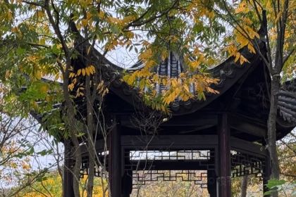 黃栗樹生態美食土菜館