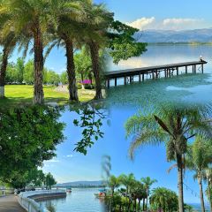 骆大姐手摊凉粉 User Photo