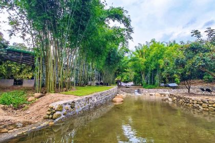 罗浮山天然谷(那里花开店)