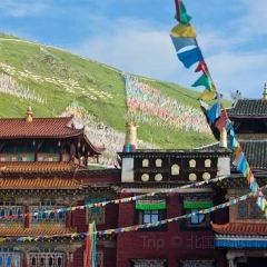 阿妈家特色藏餐(九寨沟店) User Photo